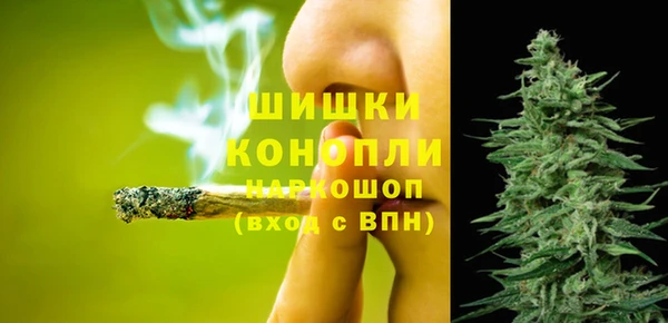 первитин Богородицк