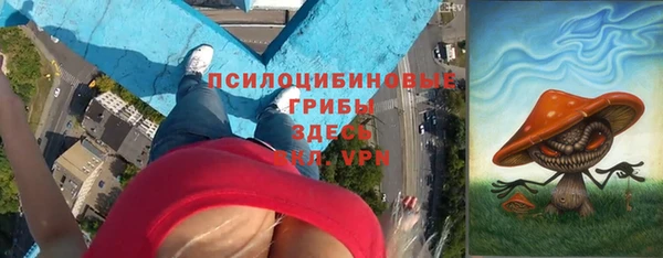 первитин Богородицк